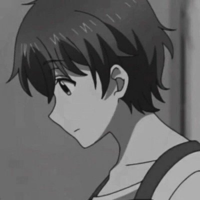 张凌赫的商务汇总